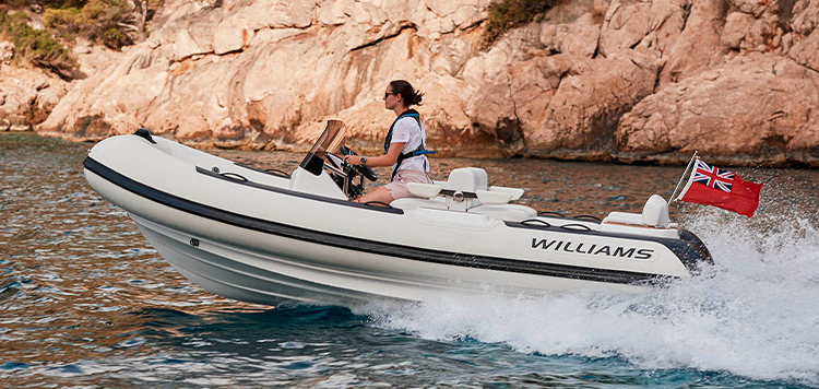 Williams DieselJet 445