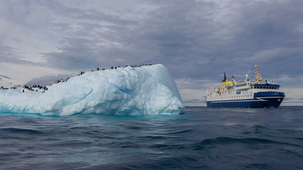 Orskov Yard AS OCEAN NOVA, 73.00 м