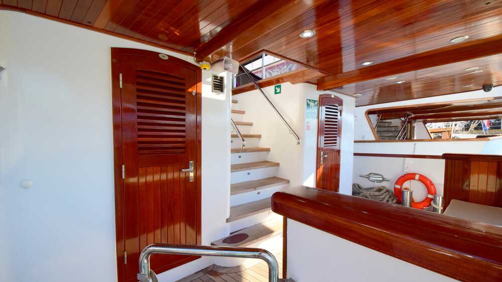 CAPTAIN BOTA, 40.60 м
