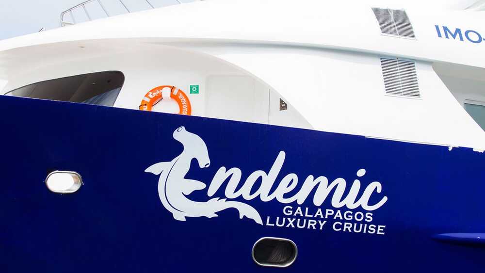ENDEMIC, 35.00 м